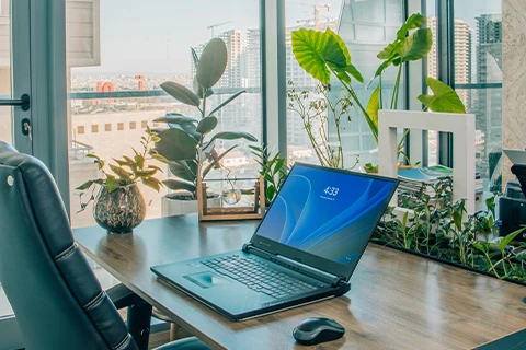 HostGrower-Desk-Plants