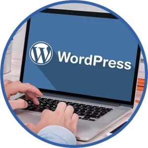 WordPress Experience